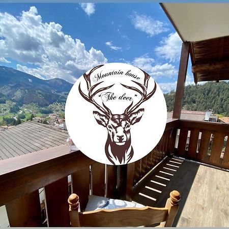 泰塞罗Mountain House The Deer公寓 外观 照片